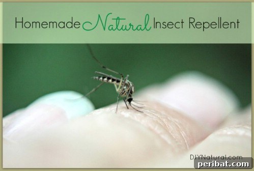 50 Natural Summer Glow Elixirs 55 Homemade Insect Repellent