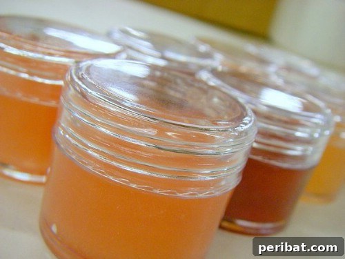 50 Natural Summer Glow Elixirs 50 DIY Summer Lip Gloss