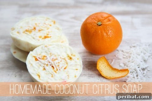 50 Natural Summer Glow Elixirs 41 Coconut Citrus Soap Bars
