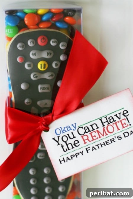 50 Handmade Father's Day Gifts That Show You Care 21 Remote Cookies