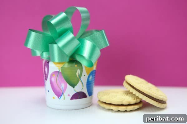 Plastic Cup Gift and Cookie Box Wrapping Craft
