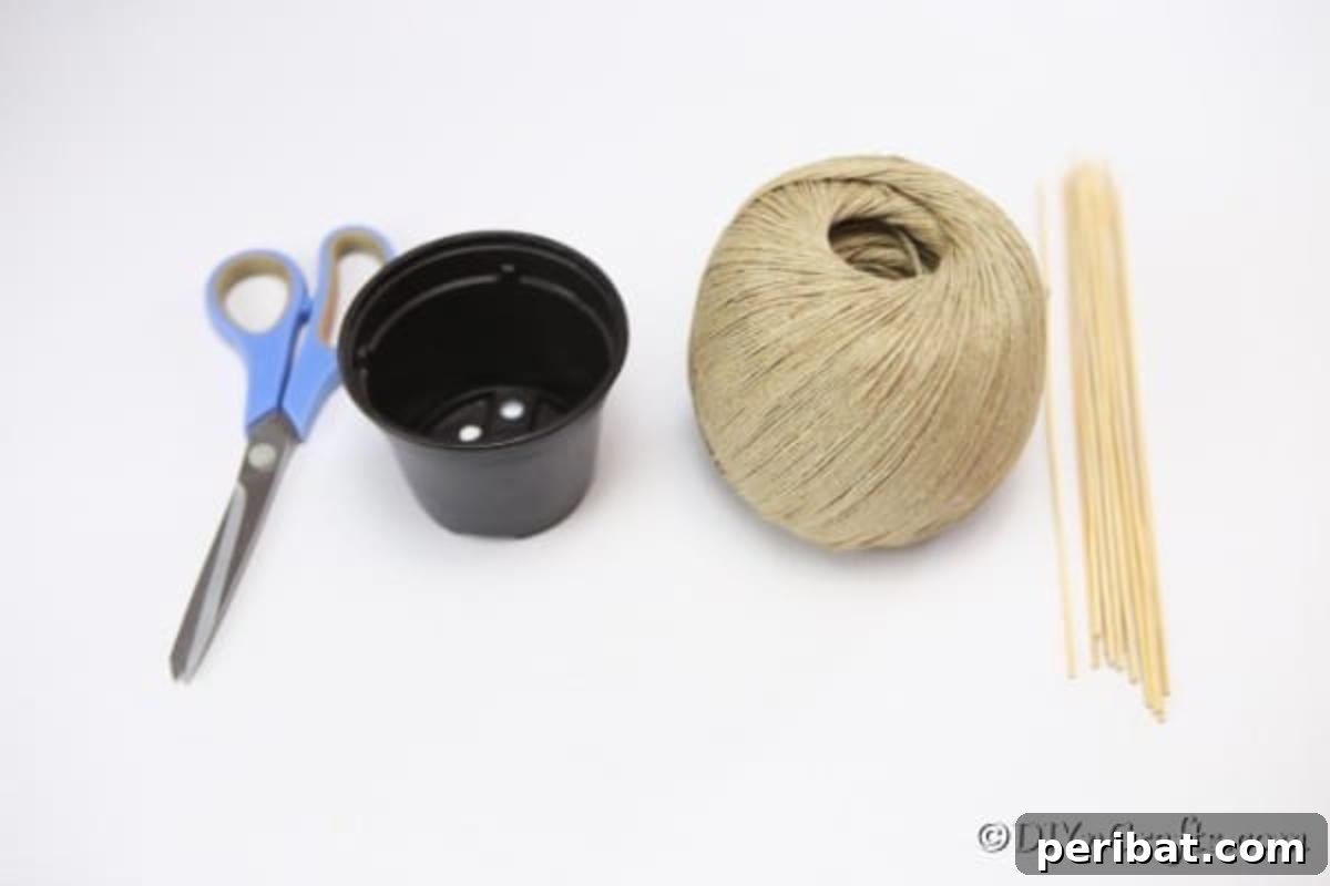 Craft a Charming Rustic Basket 6 Supplies for making a rustic woven basket