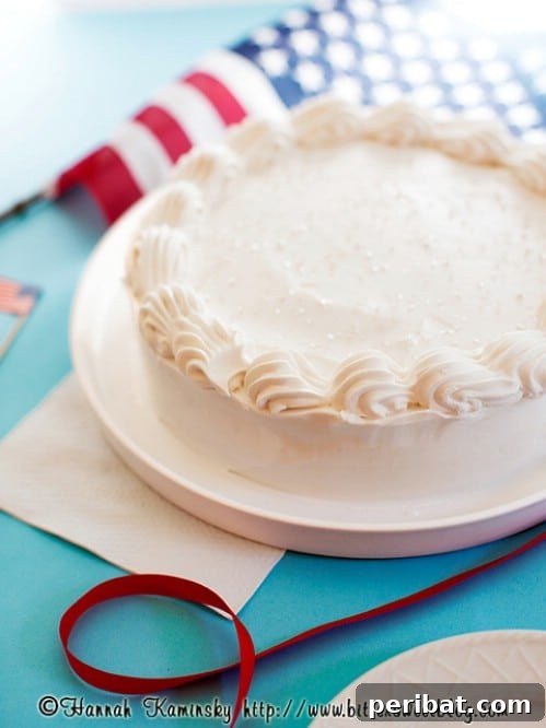 Savoring Freedom Delectable Fourth of July Desserts 11 Patriotic Ice Cream Cake