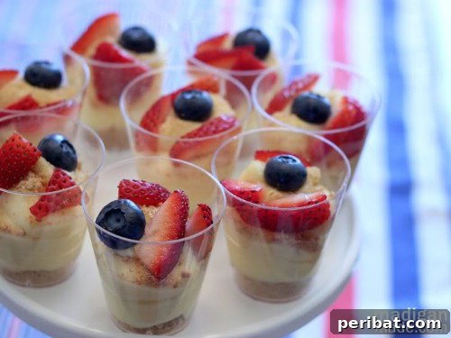 Savoring Freedom Delectable Fourth of July Desserts 21 No-Bake Cheesecake Shots