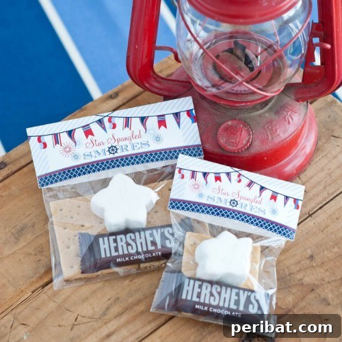 Savoring Freedom Delectable Fourth of July Desserts 22 Nautical 4th of July S’mores Bags