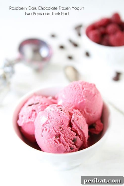 Savoring Freedom Delectable Fourth of July Desserts 24 Raspberry Dark Chocolate Frozen Yogurt