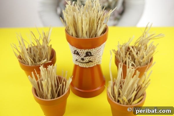 All pots with hay added to the inside rim for decoration on the flower pot people