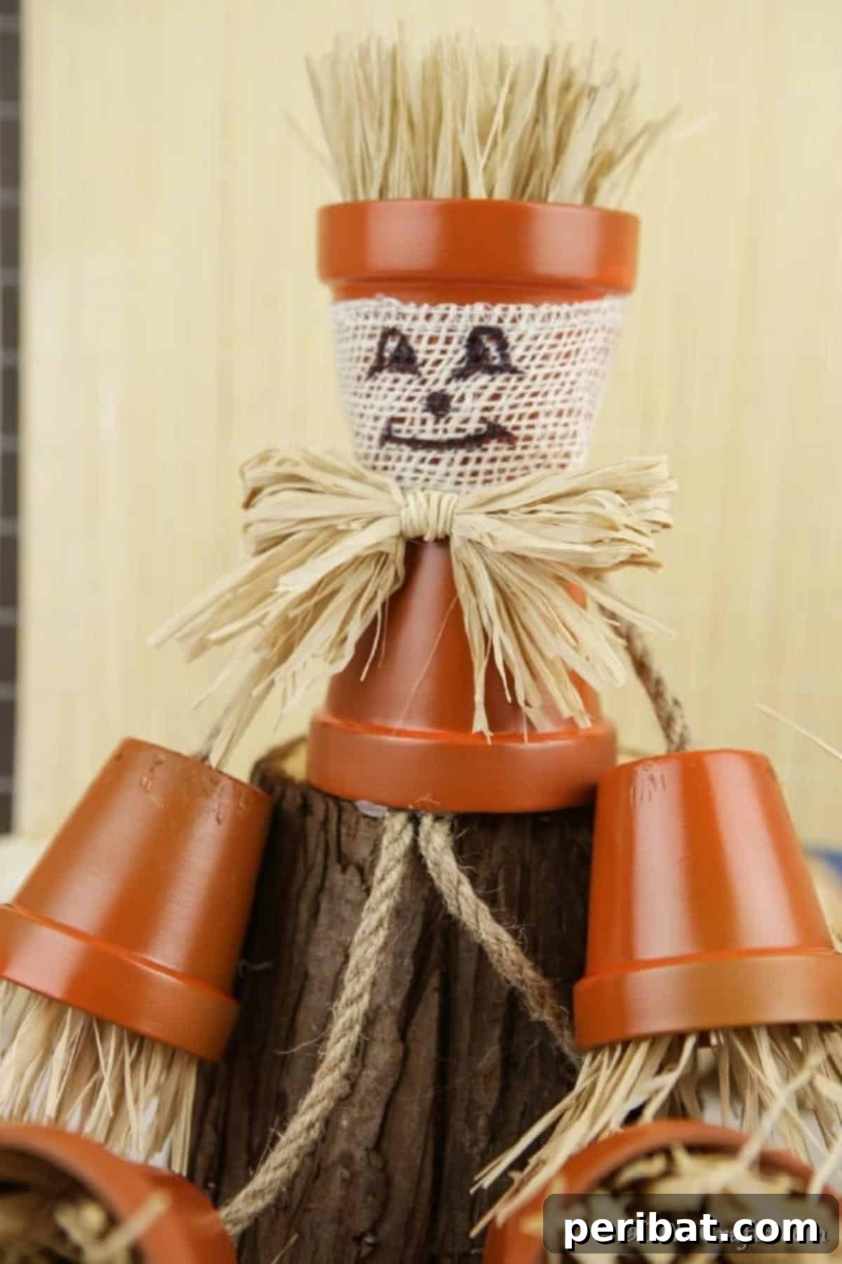 Up close picture of an assembled flower pot people craft