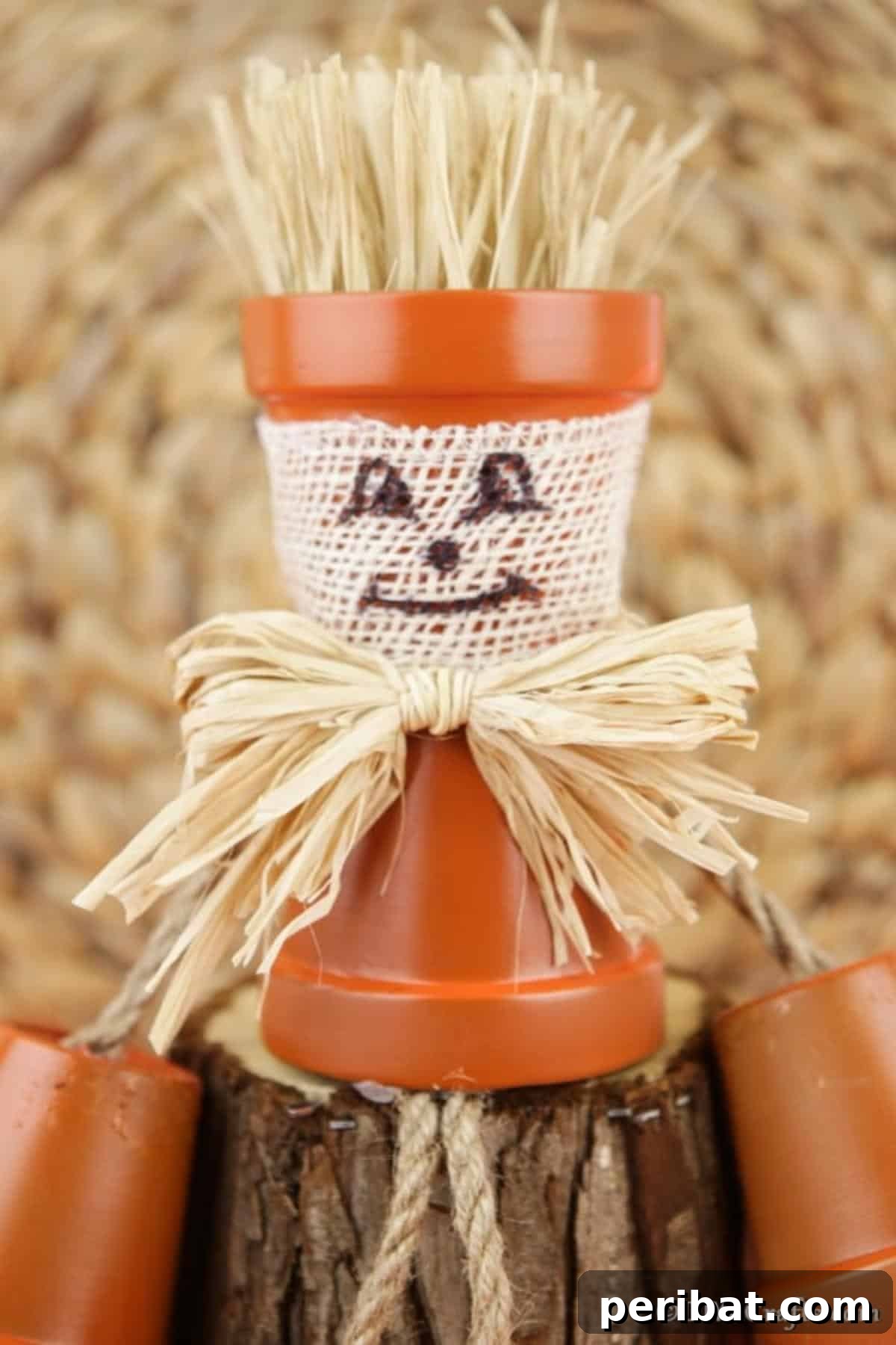 Up close picture of a complete scarecrow flower pot people craft