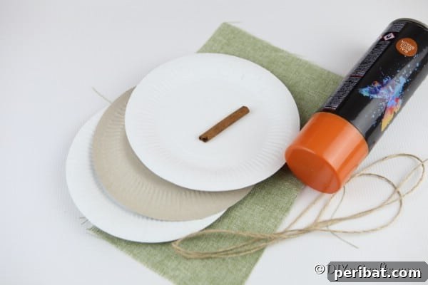 Fall Paper Plate Pumpkin Fun 7 A collection of essential craft supplies, including paper plates, paint, cinnamon sticks, and fabric, neatly arranged on a protected surface, ready for making a paper pumpkin.