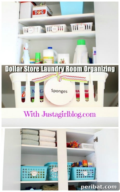 Unlock Your Laundry Room's Potential: 30 Ingenious Storage & Organization Ideas 4 Dollar Store Organizing
