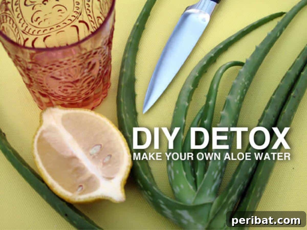 20 Flavorful Detox Waters to Purify Your Body and Melt Fat 10 DIY detox Aloe Water