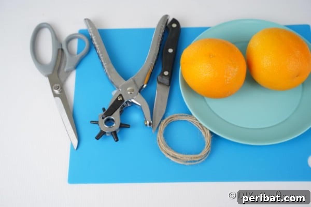 Rustic Chic Orange Peel Star Winter Garland 6 Supplies for making orange peel garland laying on a blue table mat