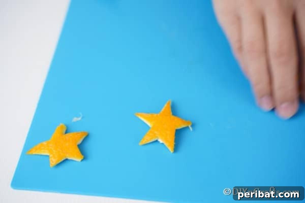 Rustic Chic Orange Peel Star Winter Garland 9 Orange peels cut into star shapes