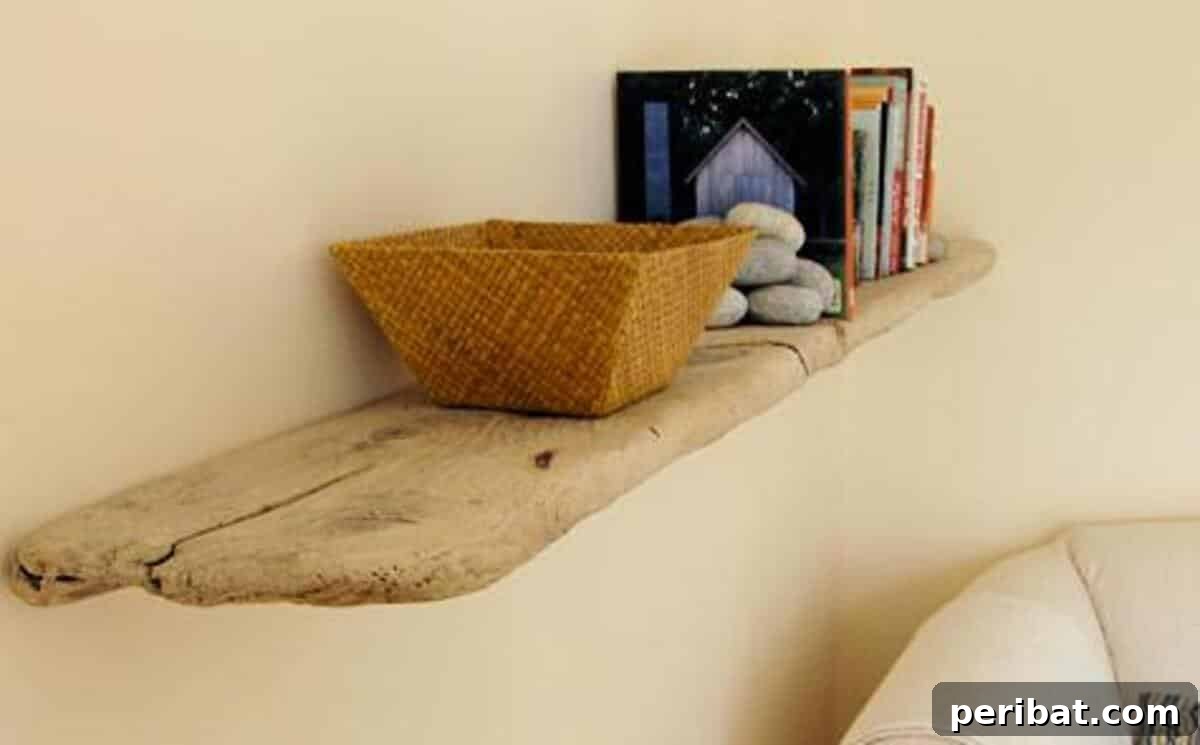Driftwood Bookshelf