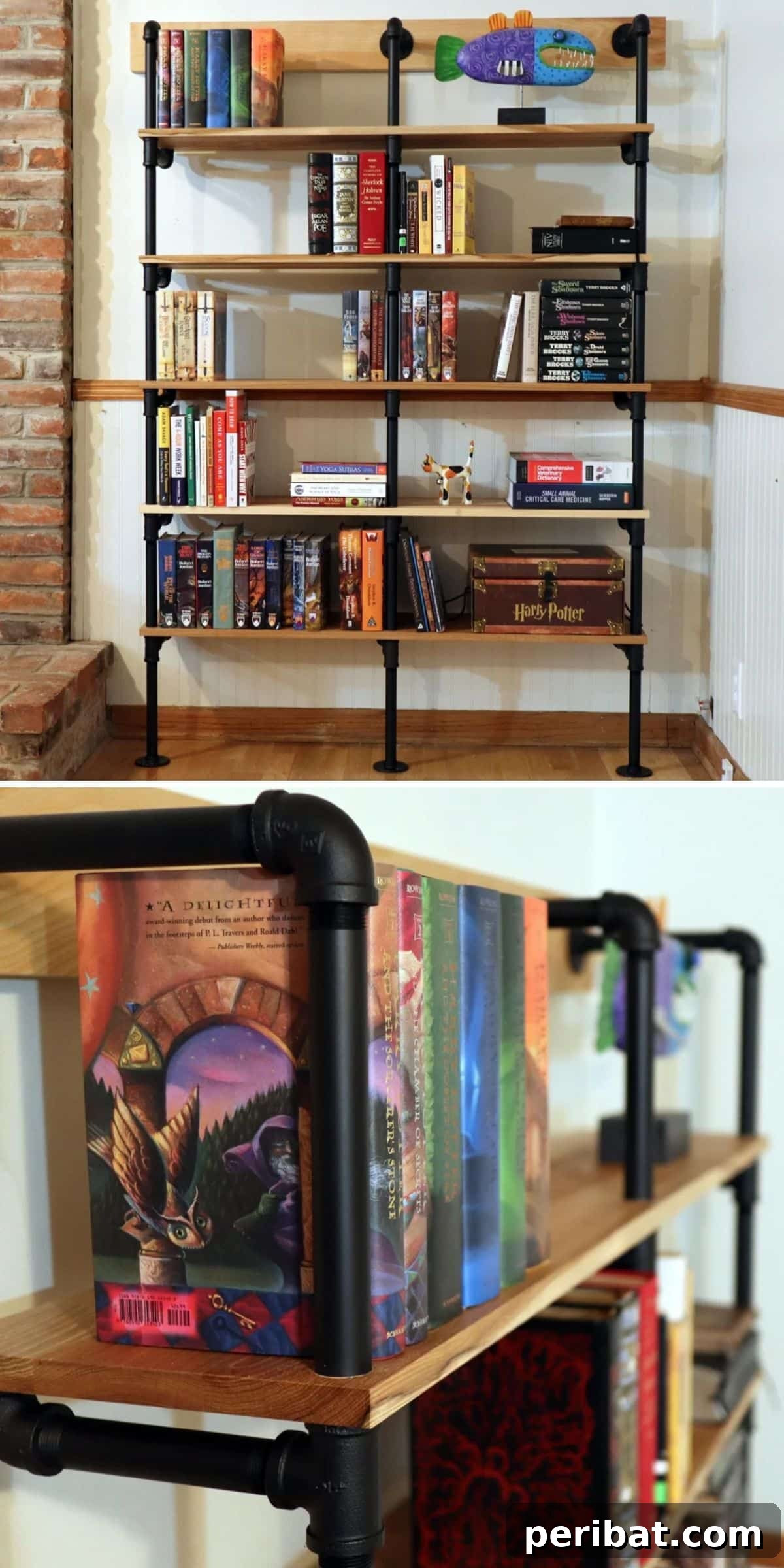DIY Industrial Black Pipe Bookshelf