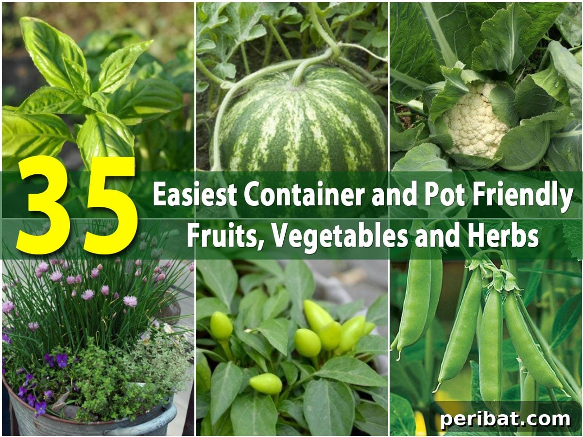 container gardening dit