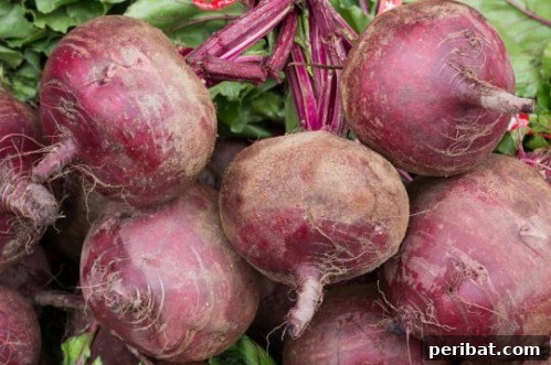 Beets