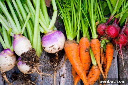 Turnips