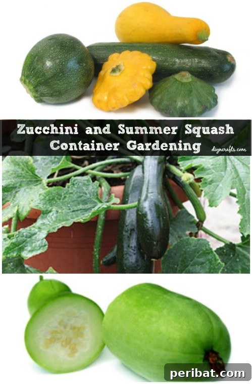 Zucchini and Summer Squash