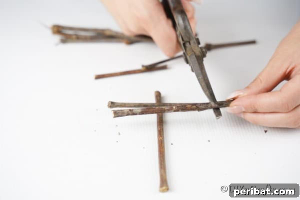DIY Rustic Twig and Branch Christmas Ornaments 11 Selecting a suitable twig to serve as the main trunk for a rustic Christmas tree ornament.