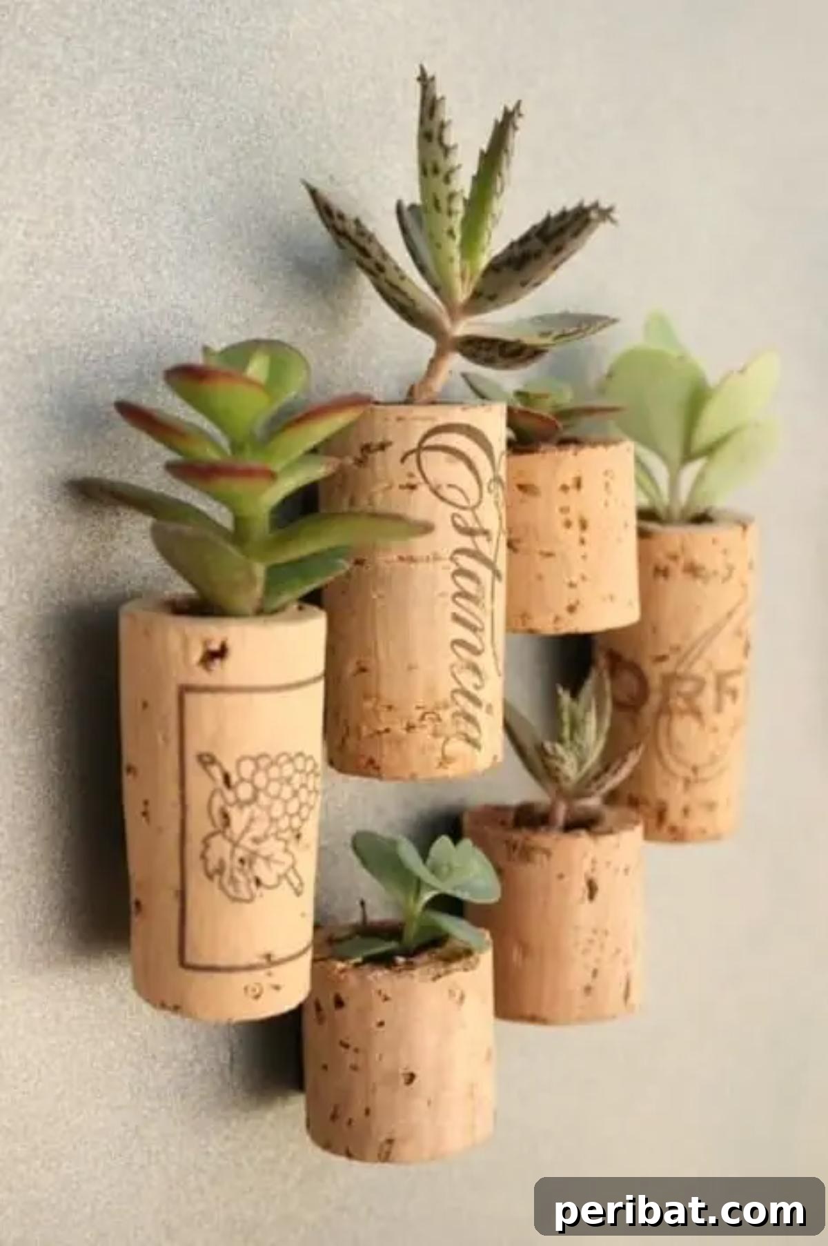 Uncork Your Creativity with DIY Wine Cork Projects 13 Tiny magnetic planters made from hollowed wine corks with succulents
