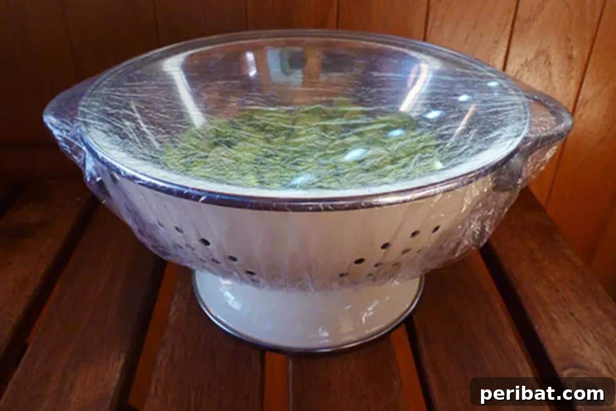 Shower cap used as a simple food saver for bowls