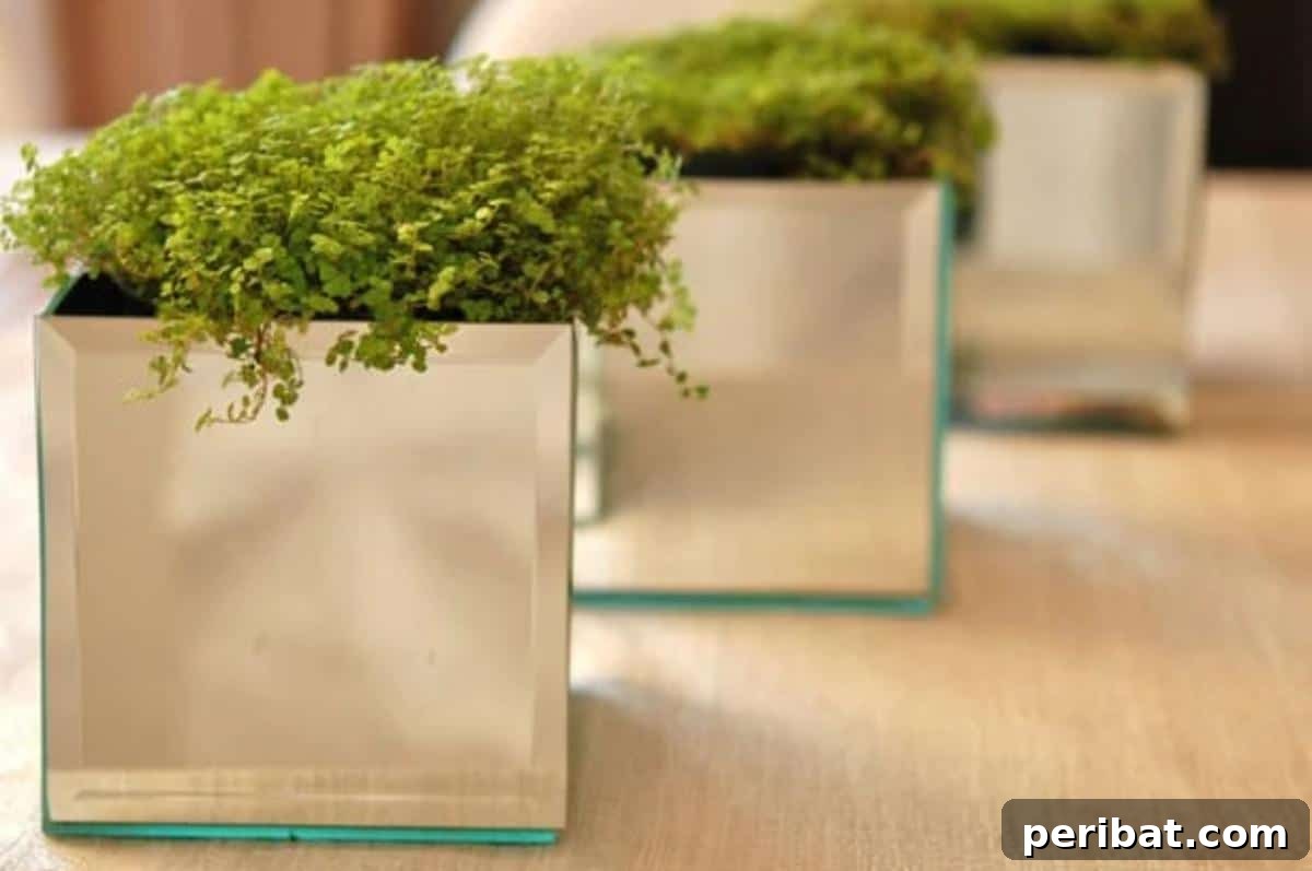 DIY mirrored planters created from Dollar Store beveled mirrors