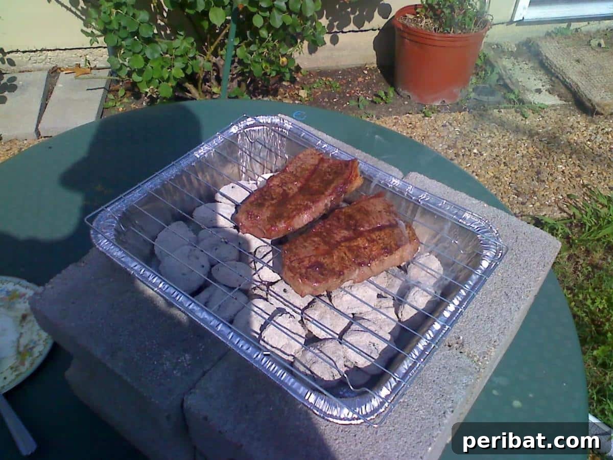 Homemade $2 charcoal grill from Dollar Store cooling rack and lasagna pan