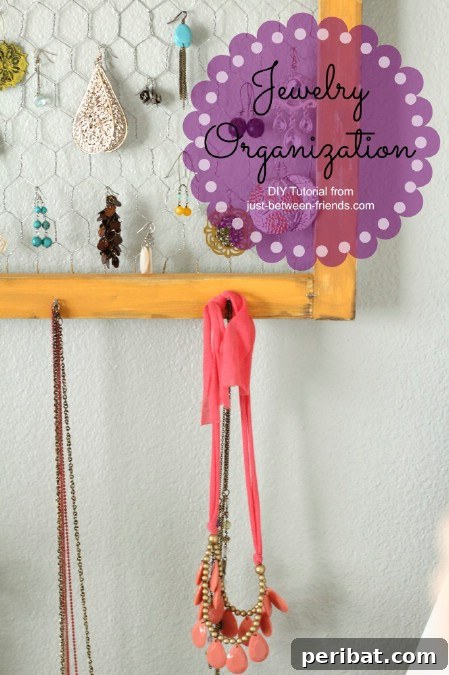 Framed Chicken Wire Jewelry Hanger
