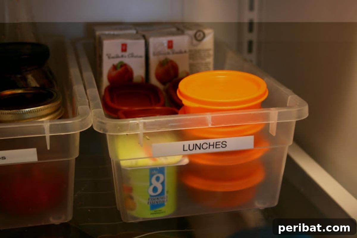 10 Organization Strategies for a Relaxed Back to School 5 Lunch boxes