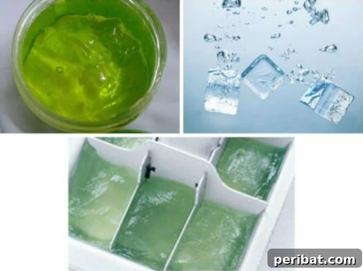 Frozen Aloe Vera
