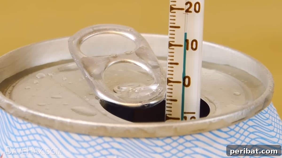 Thermometer in a soda can