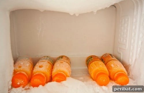 45 Brilliant Kitchen Hacks to Master Your Meals 27 Freeze leftover vegetable juice and broth.
