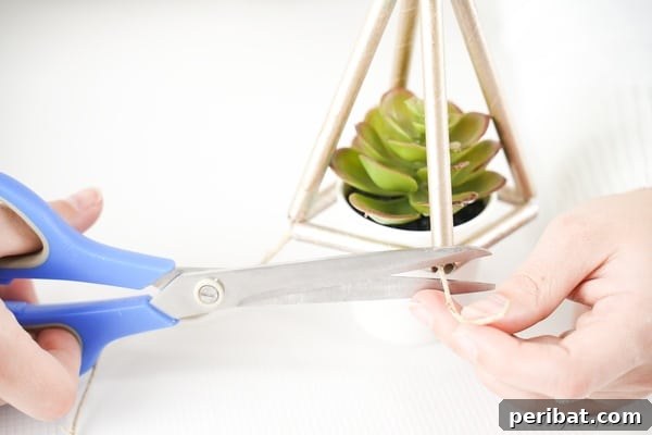 A small potted succulent carefully placed inside the dried, spray-painted paper straw planter, with hands tightening twine for security.