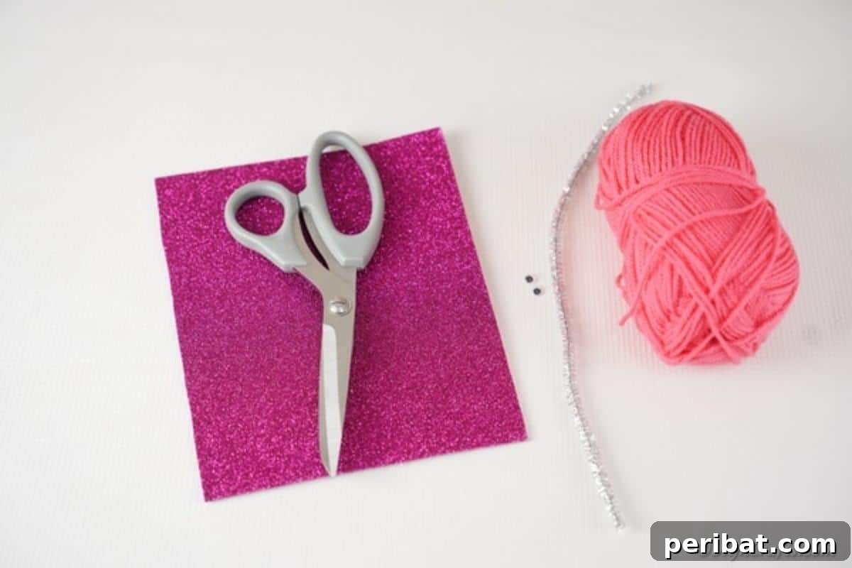 Supplies for pom pom monster