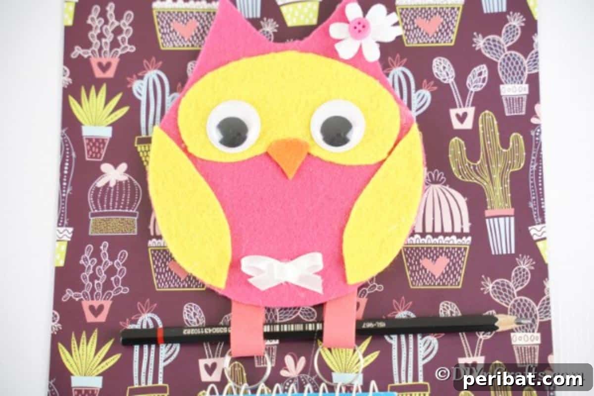 Craft a Whimsical CD Owl Wall Decor 3 Owl Message Holder against colorful background