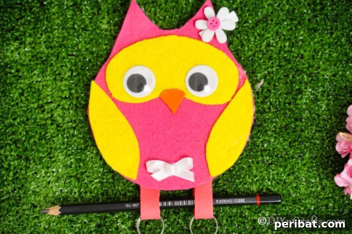 Craft a Whimsical CD Owl Wall Decor 4 Owl Message Pad Holder on Grass