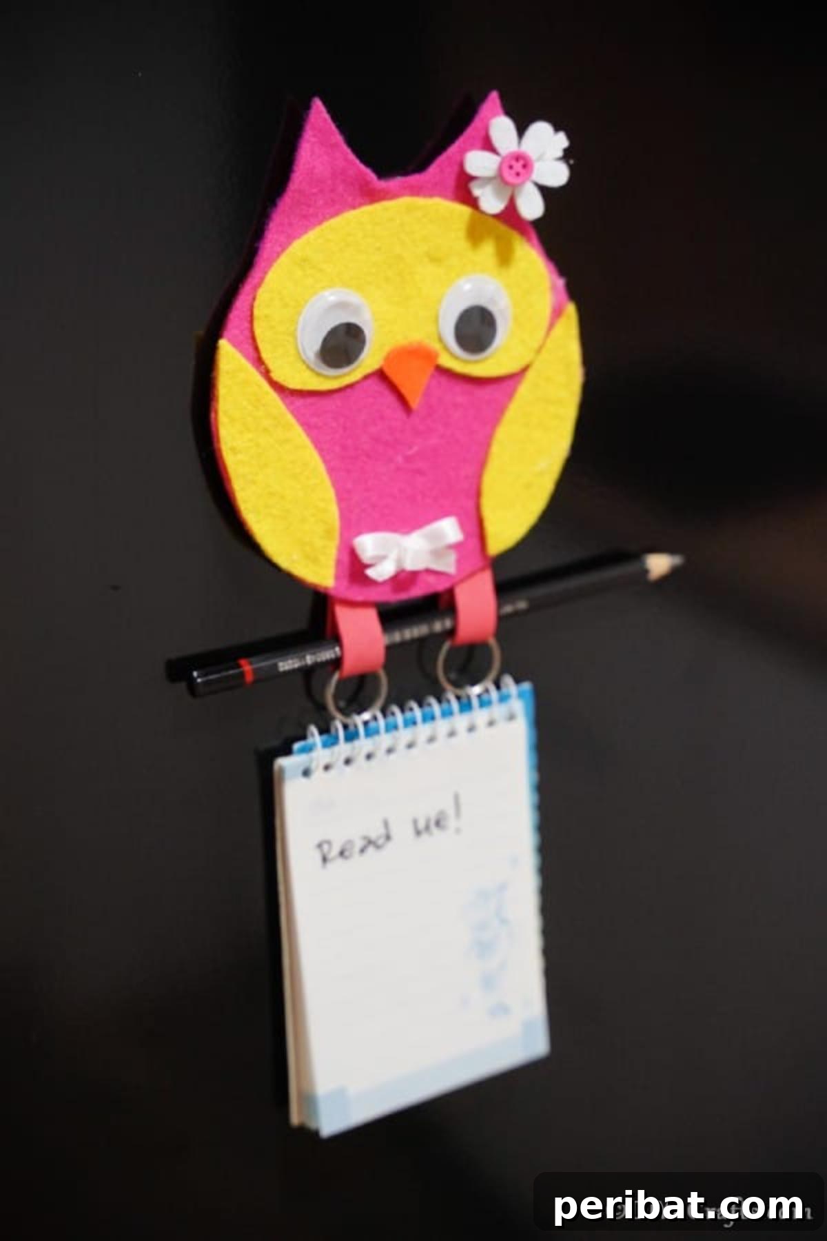 Craft a Whimsical CD Owl Wall Decor 5 Upcycle CD Owl Message Pad Holder on Black Refrigerator