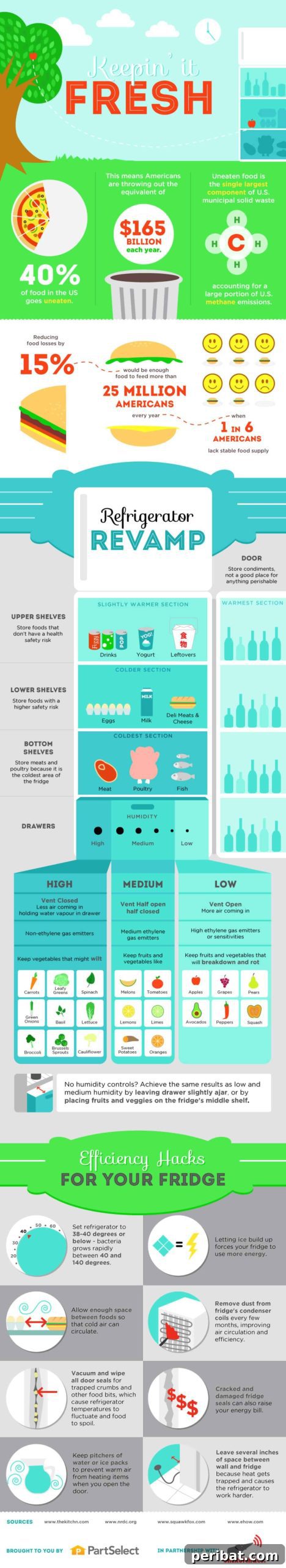 Fridge Storage and Efficiency Hacks! Learn How to Organize Food for Maximum Freshness
