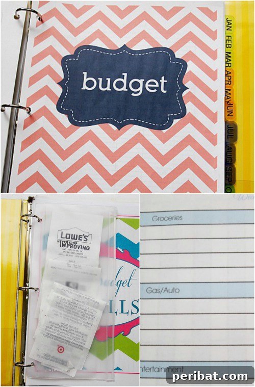 A binder just for your budget