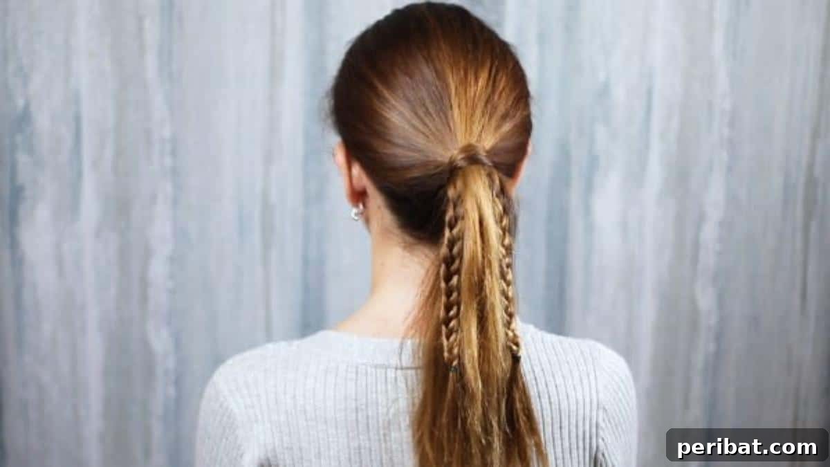 The two braided ponytail pieces clearly visible on either side of the main ponytail