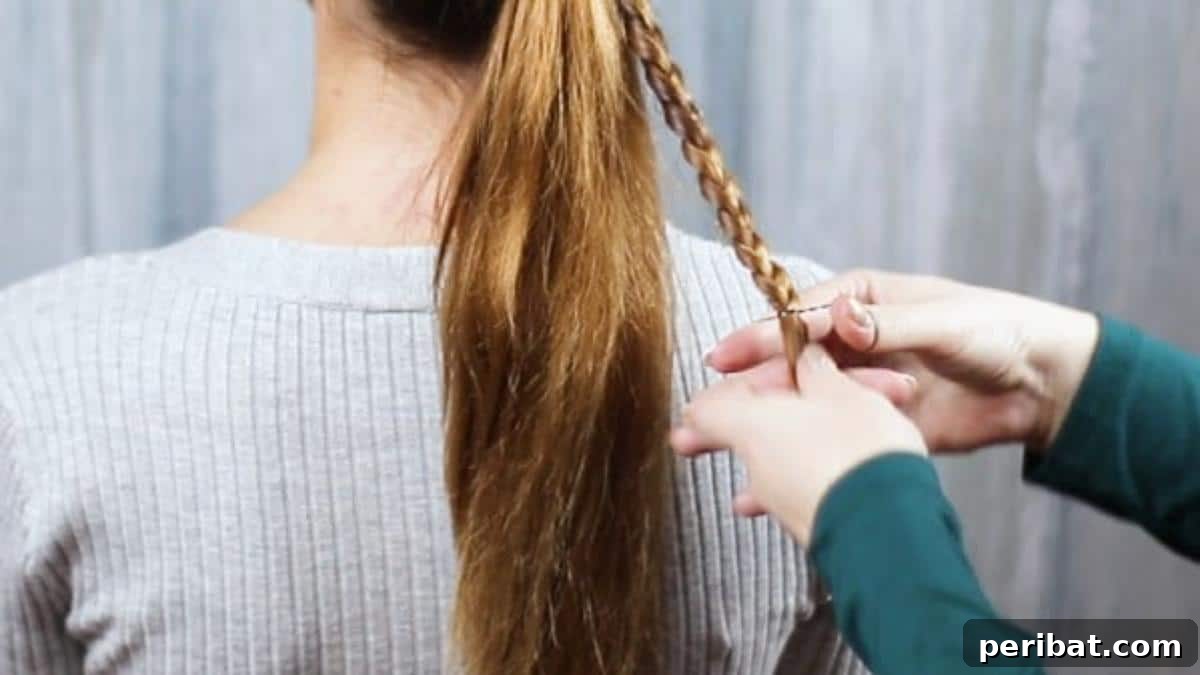 A small braid secured with a hair tie at the tapered end of the hair section