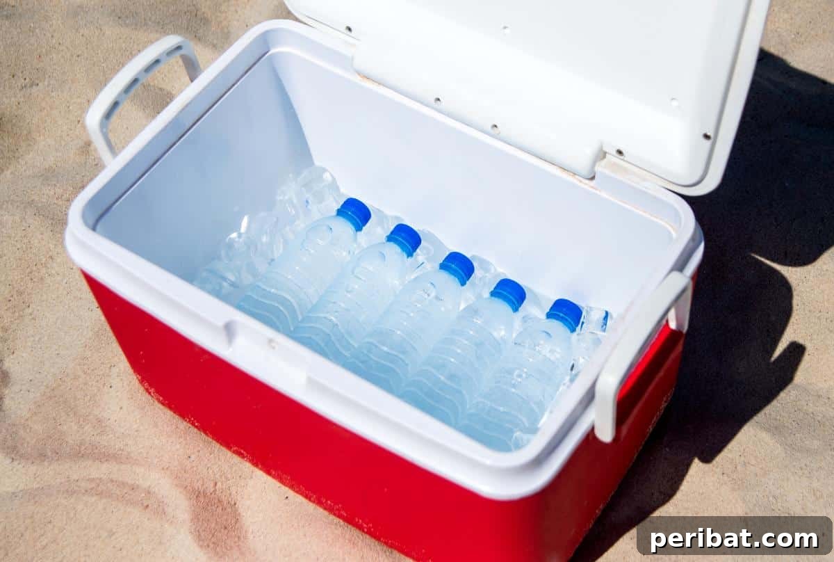 Beyond the Bubbles – 20 Brilliant Alka-Seltzer Hacks 15 Cooler box.