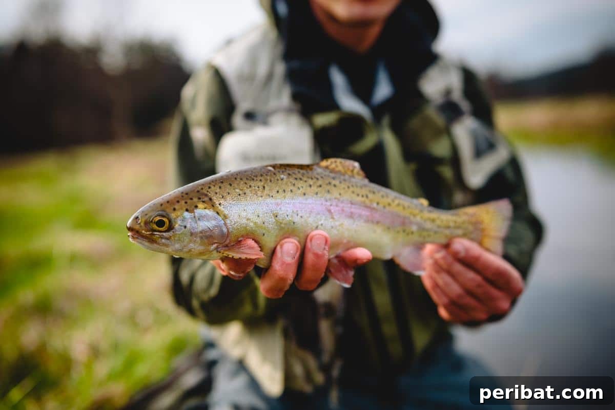 Beyond the Bubbles – 20 Brilliant Alka-Seltzer Hacks 16 Catching fish.