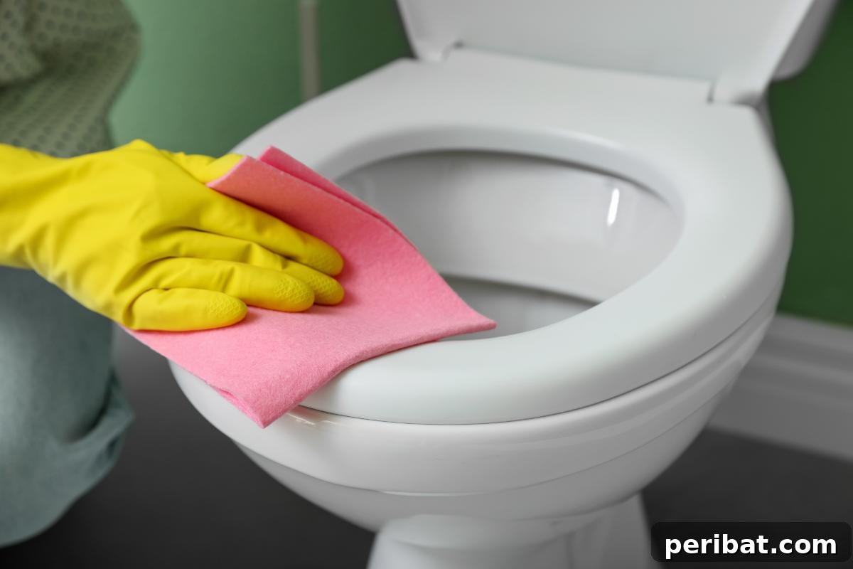 Beyond the Bubbles – 20 Brilliant Alka-Seltzer Hacks 3 Toilet cleaning.