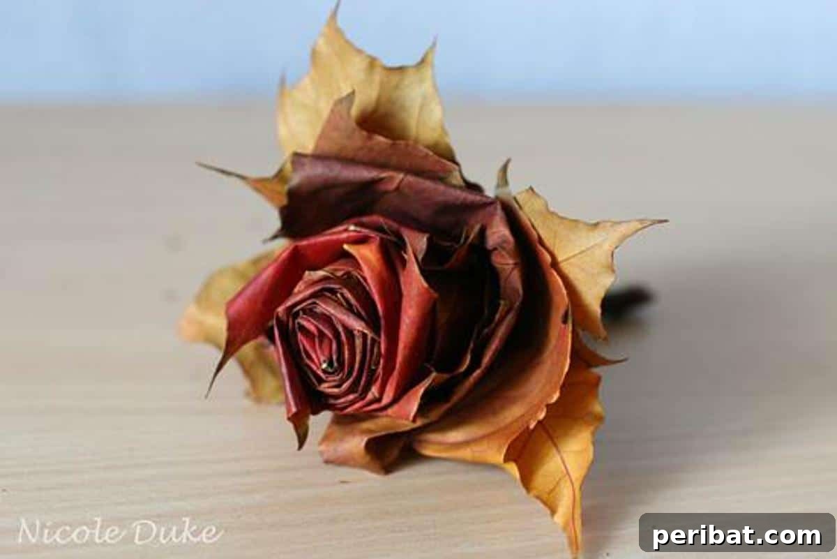 A collection of diverse maple leaf roses, demonstrating variations in color and size for a stunning fall bouquet.