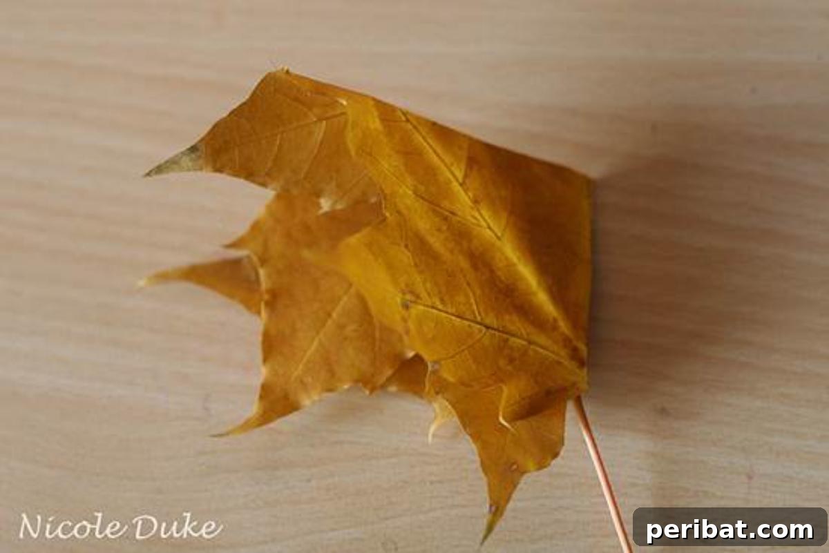 A maple leaf folded twice, showing the second step to form the tight center of a DIY leaf rose.