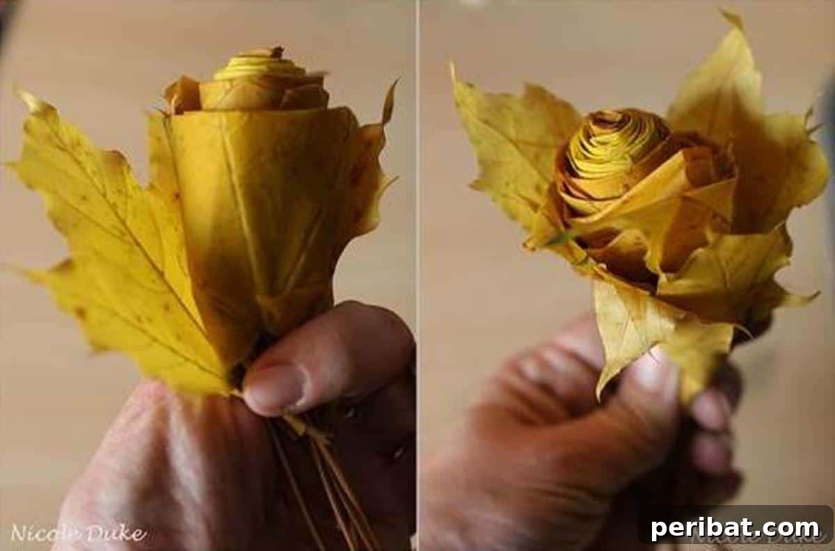 An unfolded maple leaf being wrapped around a budding leaf rose to create outer petals and add fullness.