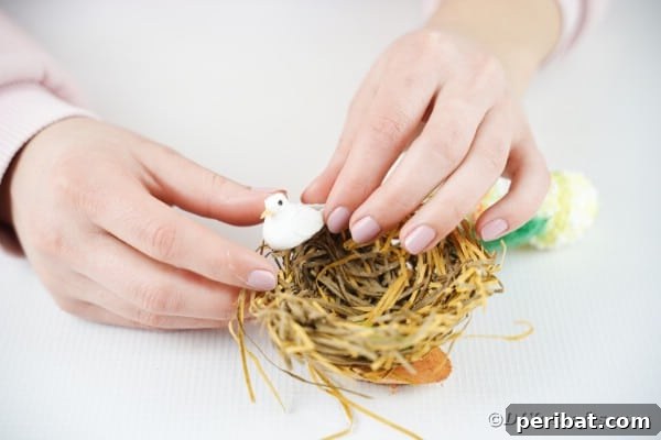 Gluing bird inside birds nest